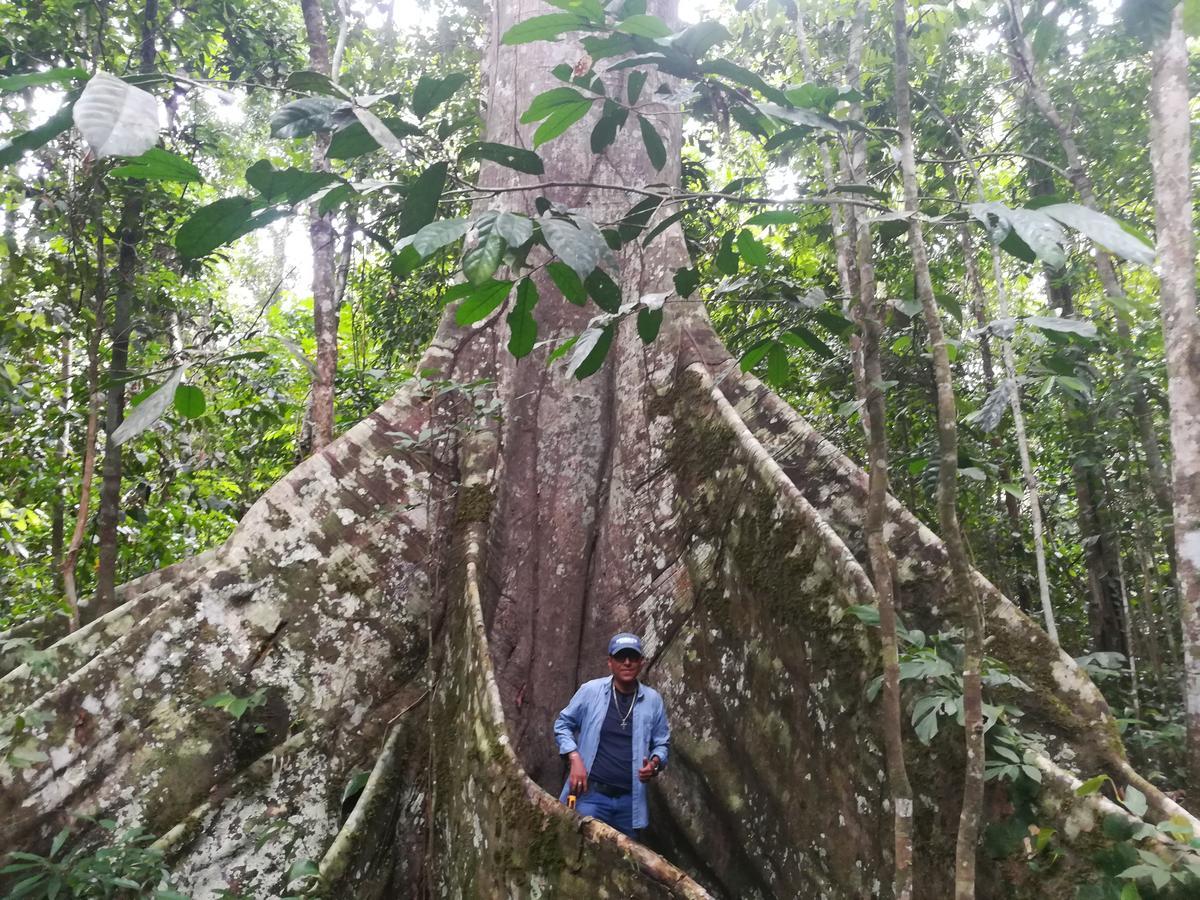 Uni Rao Centro Ecologico Villa Pucallpa Kültér fotó